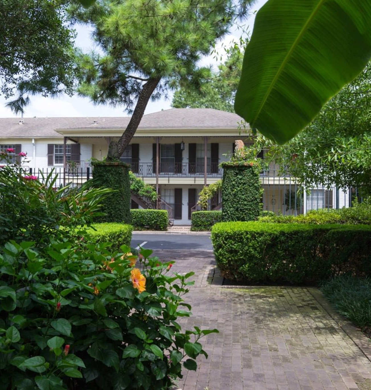 a house with a large front yard