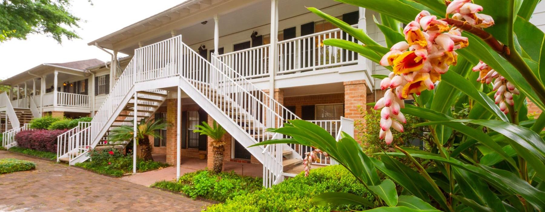 a house with a brick driveway and plants in front of it