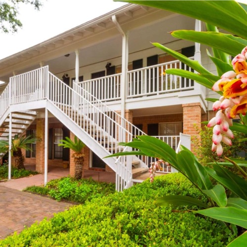 a house with a brick driveway and plants in front of it